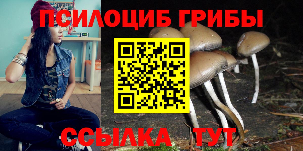 Галлюциногенные грибы Magic Shrooms Мценск