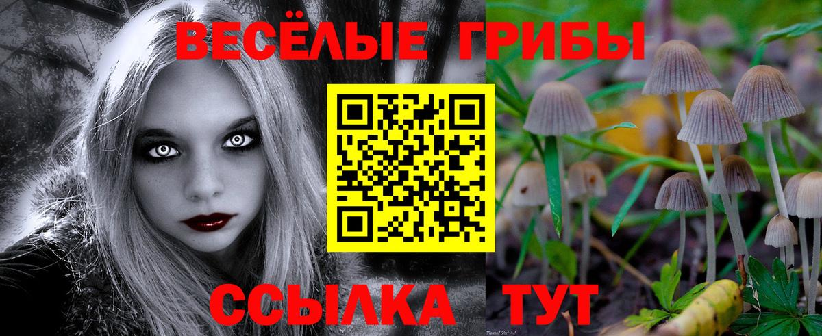 Мценск  Галлюциногенные грибы мицелий  Псилоцибиновые грибы мицелий  Вход с VPN 
